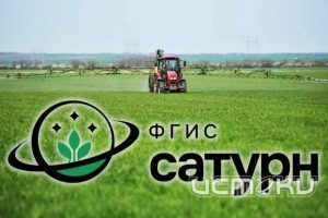 Россельхознадзор выявил нарушение правил применения пестицидов при обработке чеснока в Орловской области