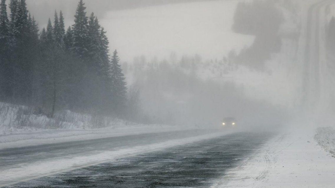 Вместе с метелью в Орел пришла оттепель