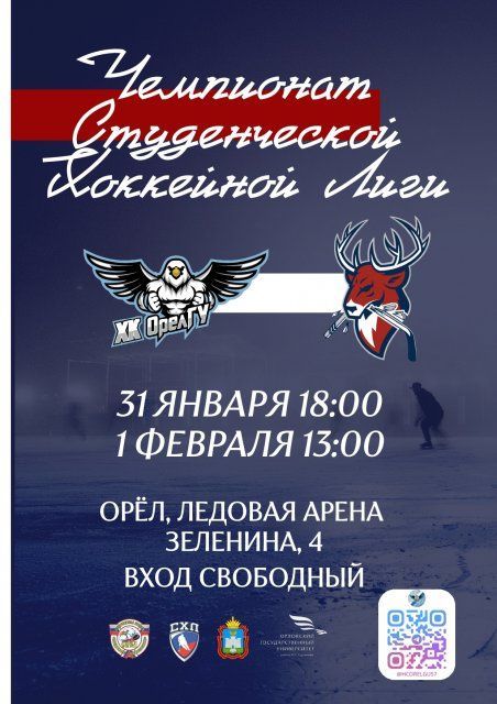 Все на хоккей!