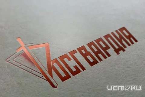 Росгвардейцы не дали трем орловчанам обокрасть два магазина