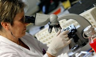 В качестве профилактики лихорадки Эбола за студентами, прибывающими из Западной Африки, ведется медицинское наблюдение