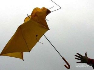 Внимание, ухудшение погоды в Орловской области!