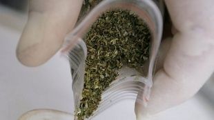 Житель Свердловского района хранил более 40 граммов марихуаны