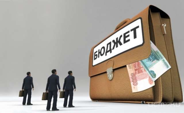 Депутаты приняли бюджет на 2016 год