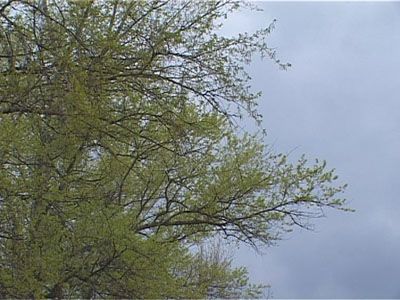 Погода на выходные