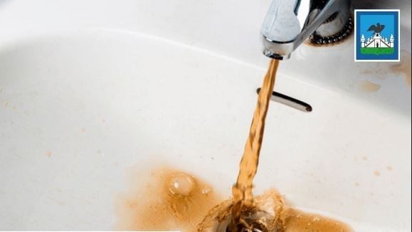 В мэрии пообещали, что через сутки вода в Орле будет чистой