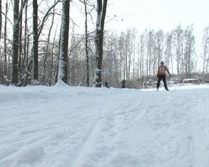 Чемпионат и Первенство области выявил сильнейших лыжников 