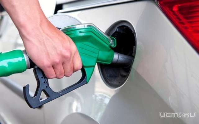 Моторное топливо на Орловщине с начала года подорожало на 5% 