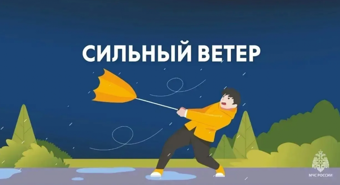В Орловской области ожидаются порывы ветра местами до 24 м/с  