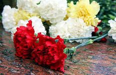 День города