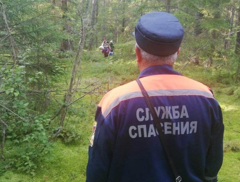 Две орловчанки заблудились в лесу в поисках грибов