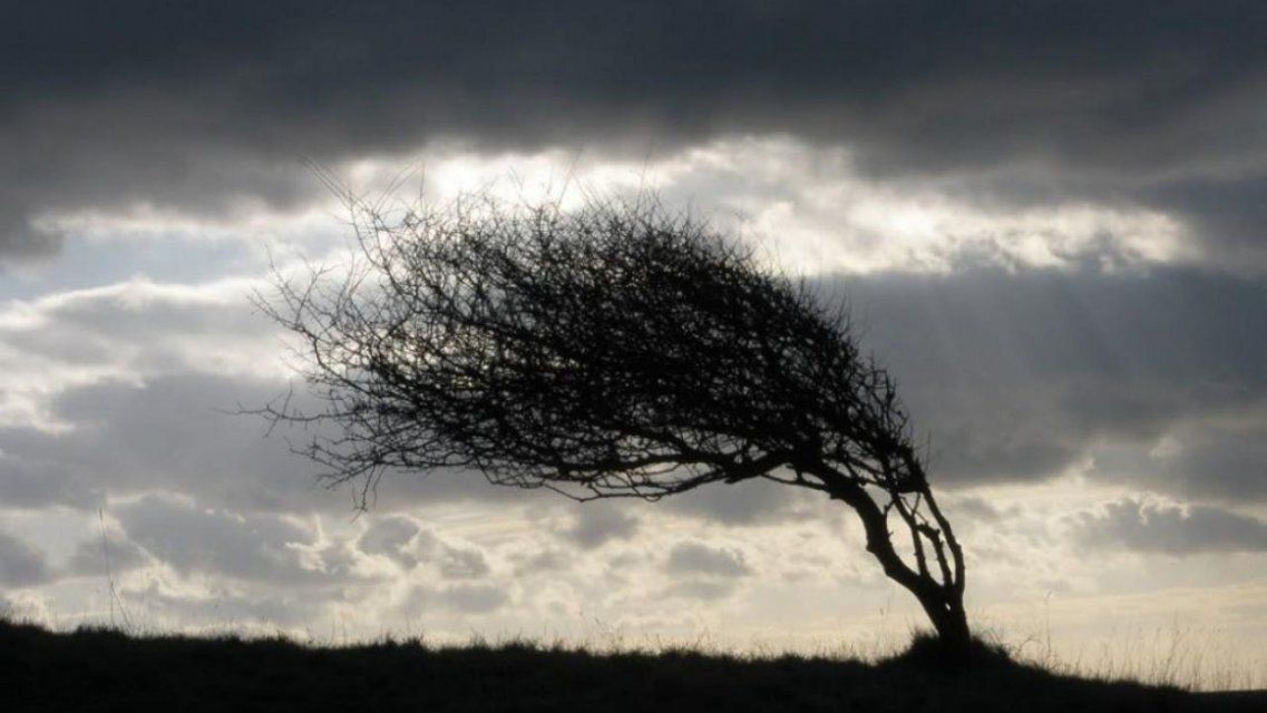 Орловчан вновь предупреждают об усилении ветра до 18 м/с