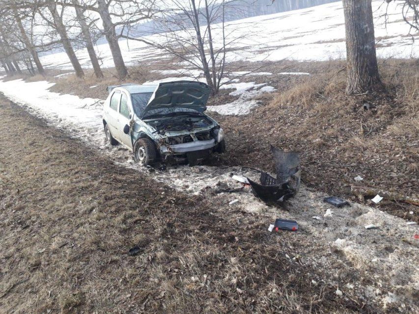 На Орловщине «Рено» улетел с трассы в кювет и врезался в дерево