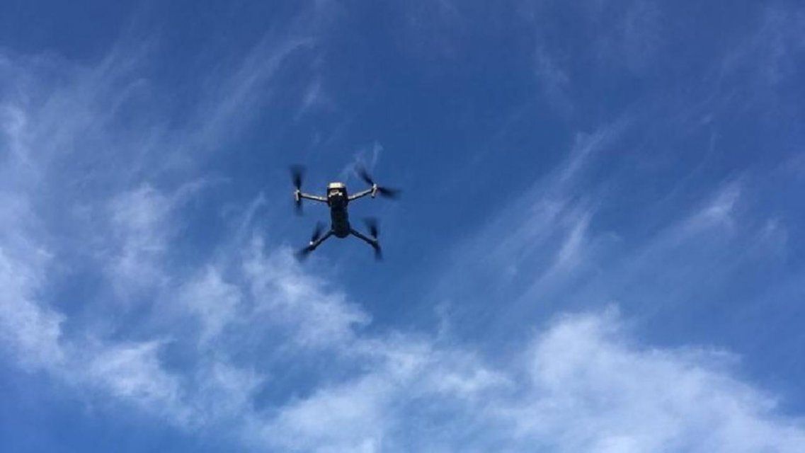 Четыре дрона помогут орловским лесничим находить очаги пожаров