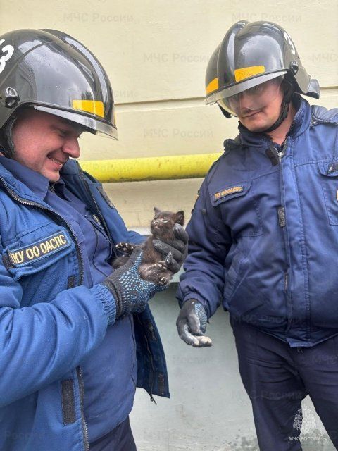  Орловские спасатели дважды за день пришли на помощь котятам