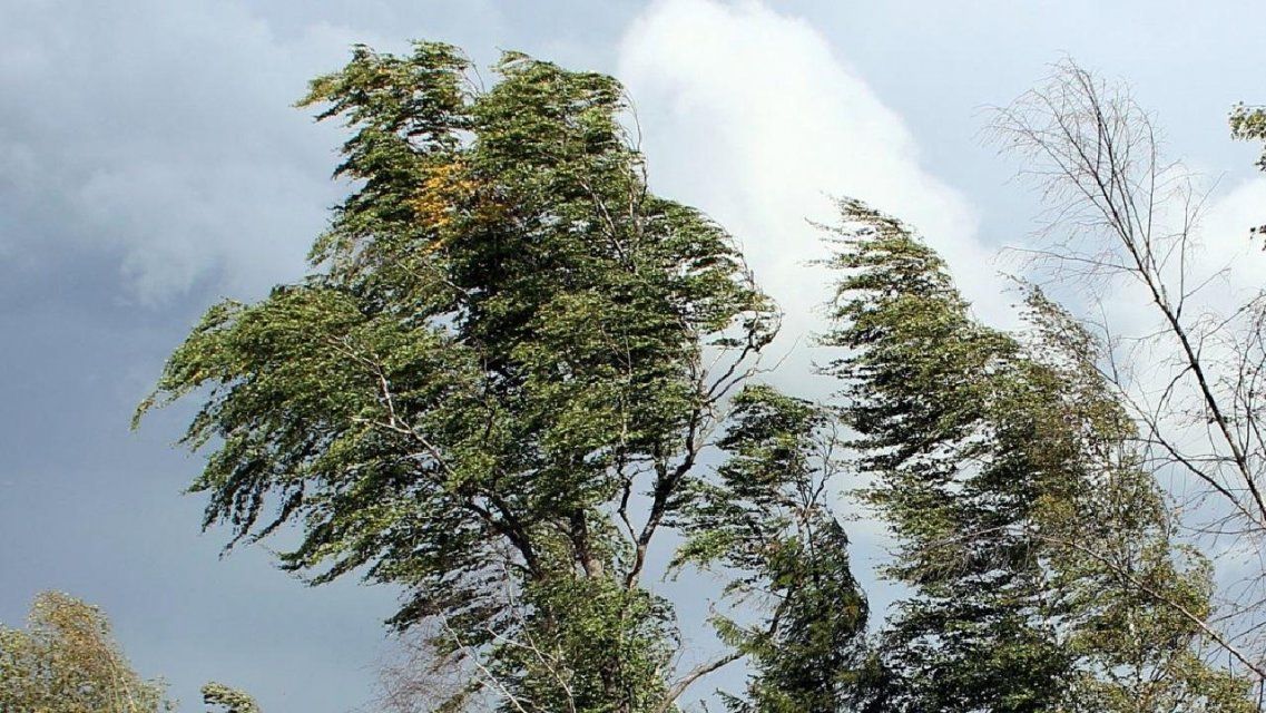 Метеопредупреждение: вечером на Орловщину обрушится порывистый ветер