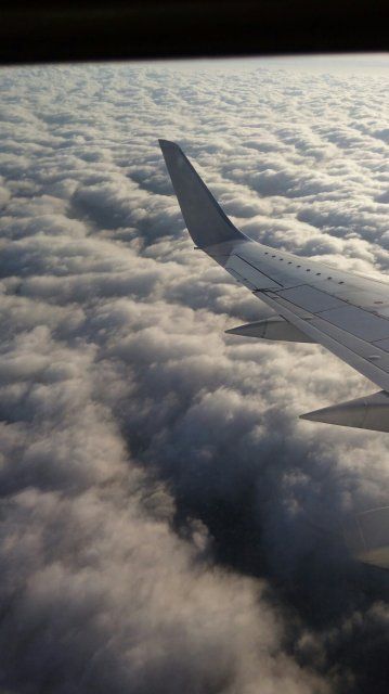 Более 28 тысяч жителей Орловской области не могут выехать за границу