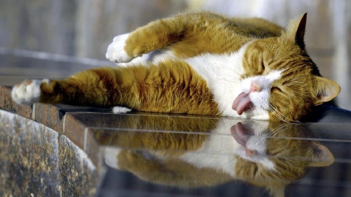 Орловчан ждет знойный вторник: погода на 16 июня