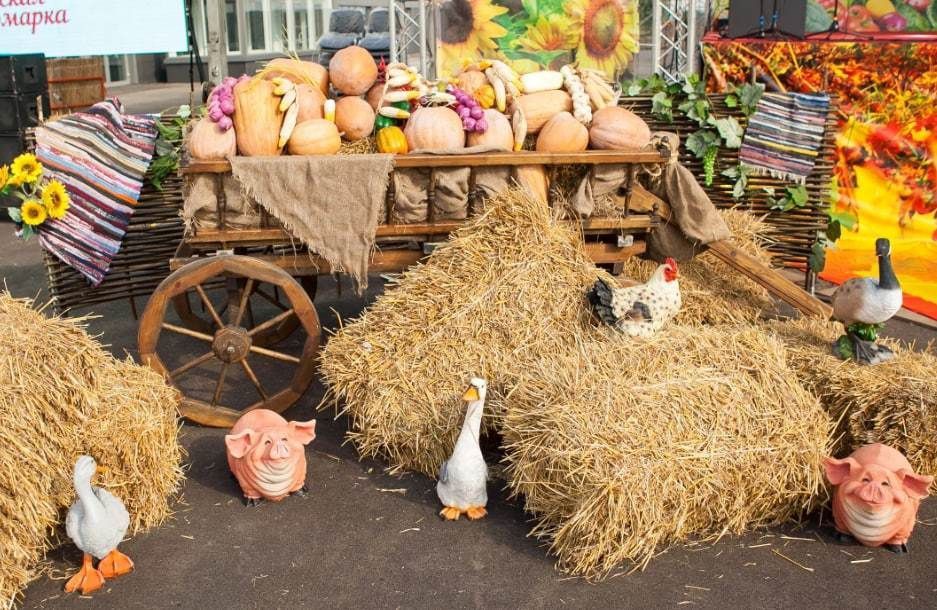 Орловчан приглашают на выставку достижений в сфере АПК