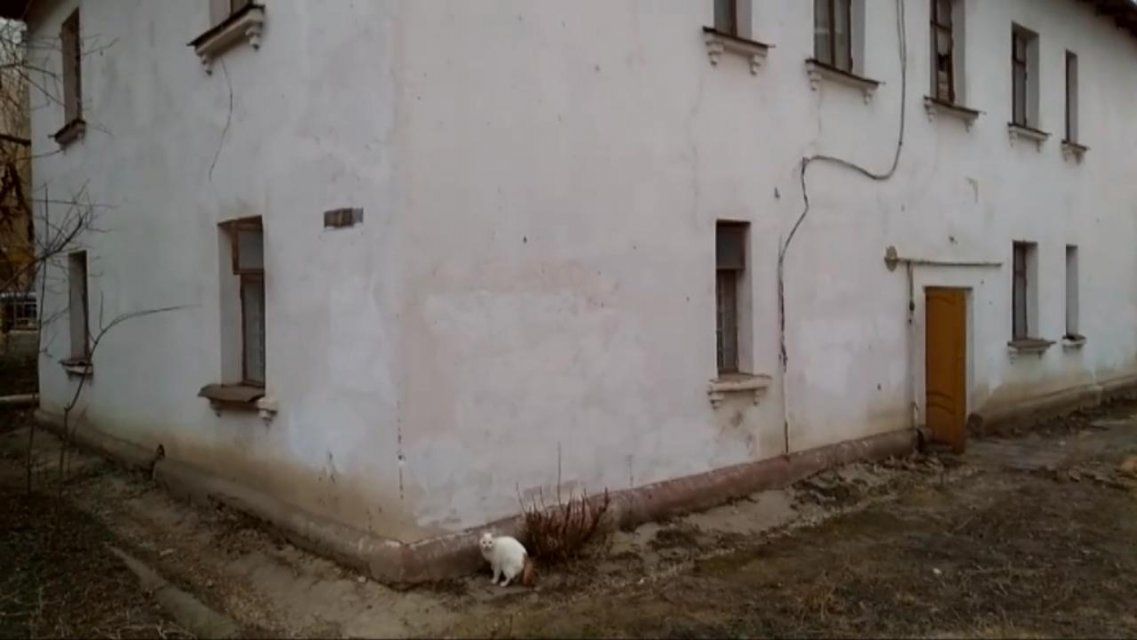 Видео: в Орле еще одна вековая двухэтажка может обрушиться на головы жильцов 