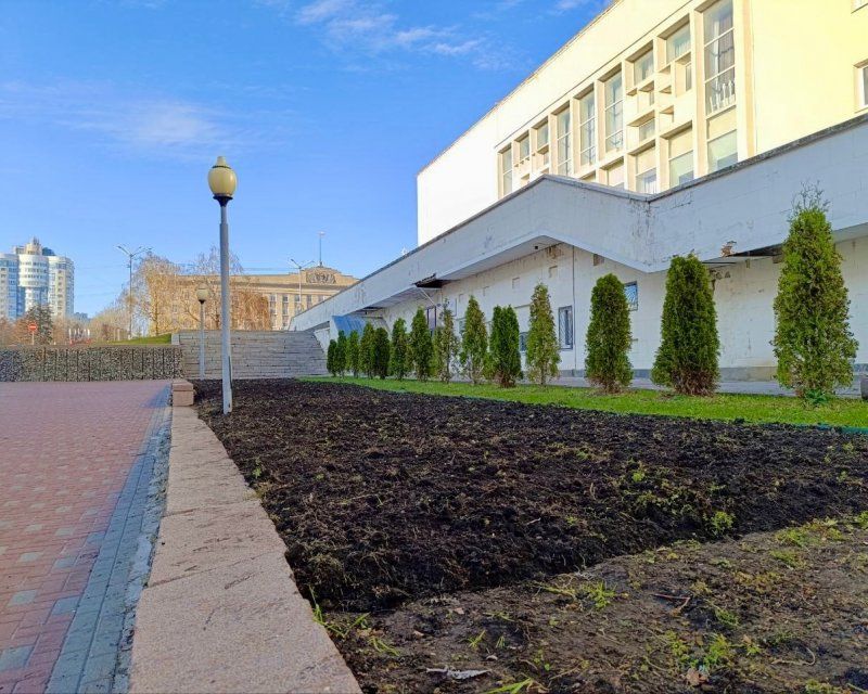 Весной орловские клумбы украсят тысячи тюльпанов