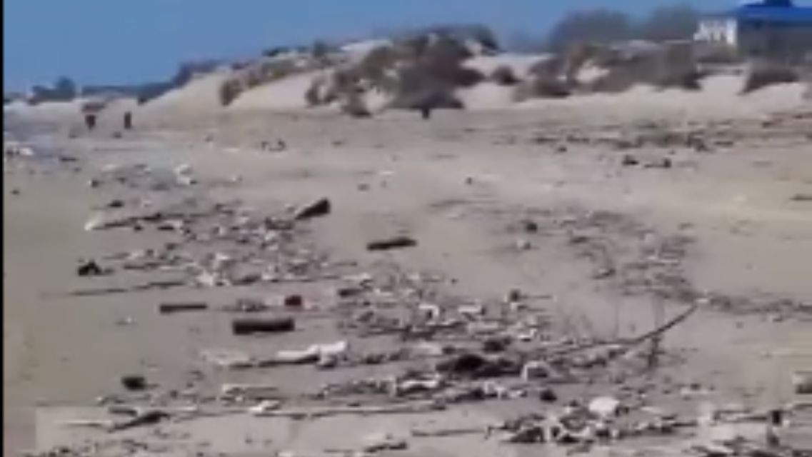 «Опубликуйте, чтобы люди знали, какие убитые пляжи на юге России!».