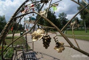 В Орле появится рябиновая аллея