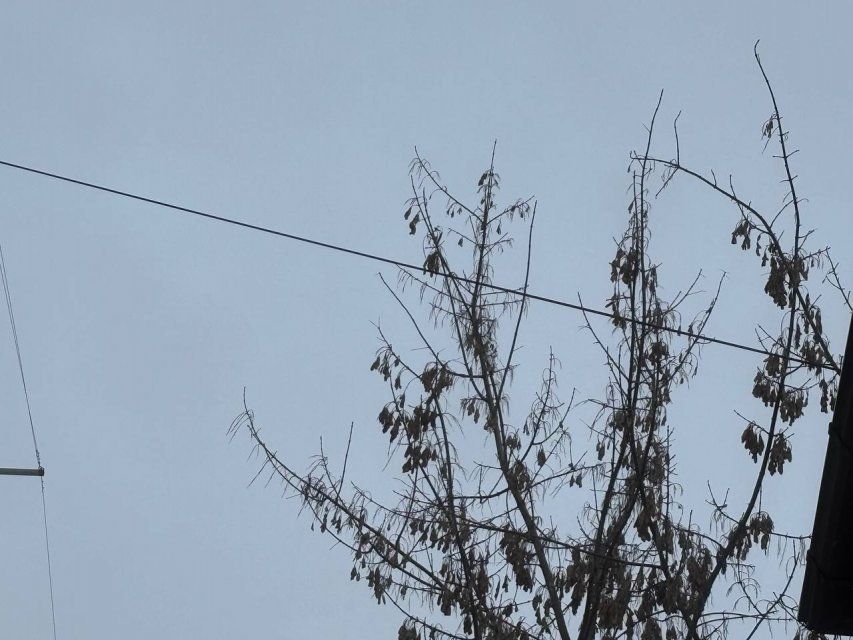 За ночь над Орловщиной сбили 9 беспилотников