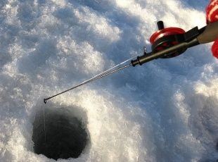 Сегодня в Орле пройдет семинар по зимней ловле рыбы