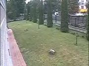 авария нива- скорая