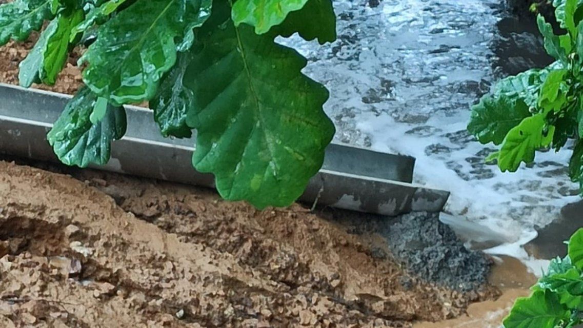 Утята в грязном пруду: народный корреспондент обратил внимание на проблемы экологии