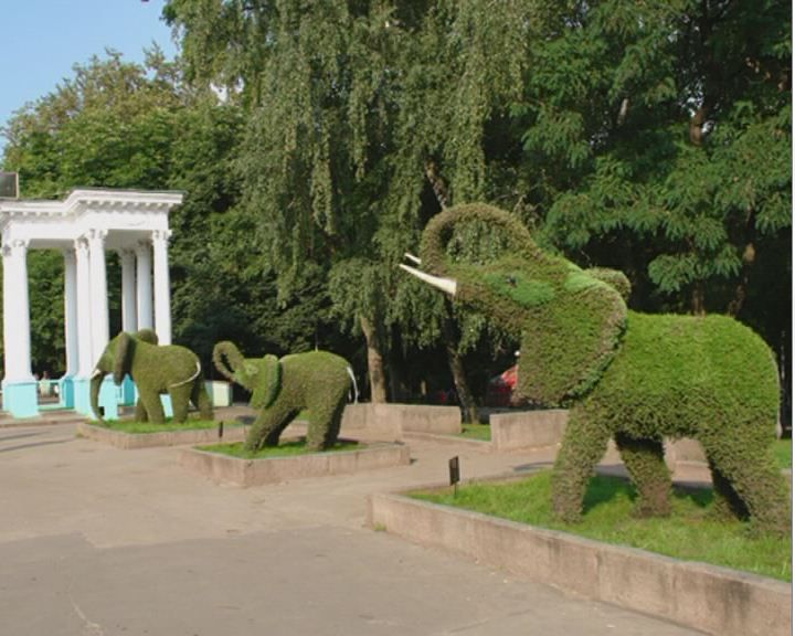 Совхоз Коммунальник – арест топиарных фигур