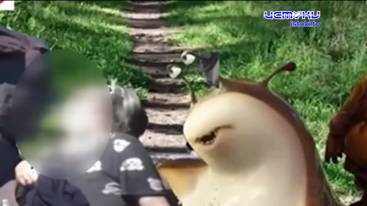 Красота - в глазах смотрящего