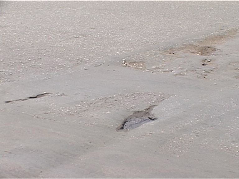 Новости Орел – рубрика за 90 секунд