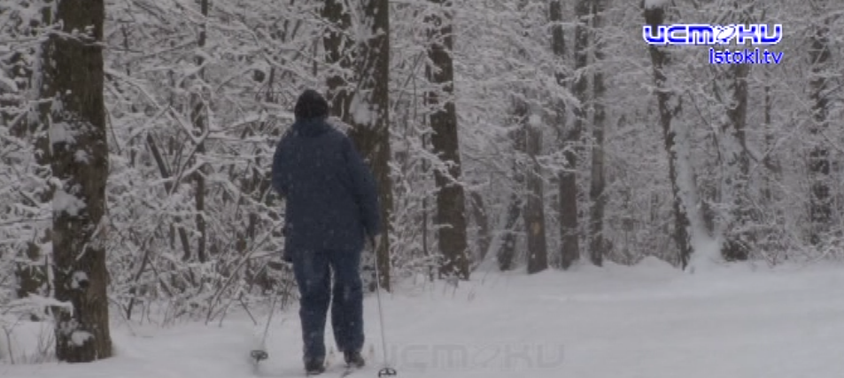 Лыжники - идите лесом. В декабре 2020 года опушку Медведевского леса облагородили, но удобств для любителей лыж в проекте не предусмотрели