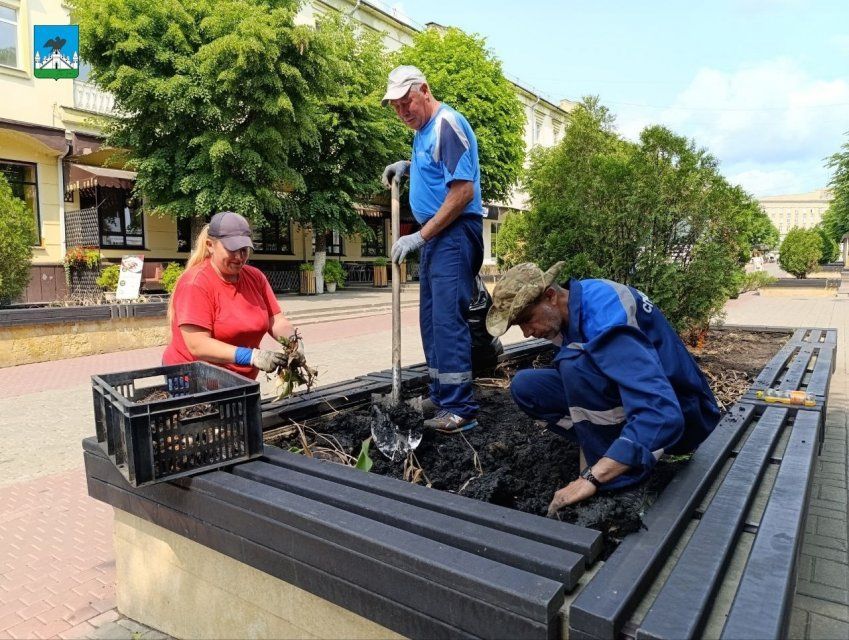 В центре Орла выкапывают луковицы тюльпанов