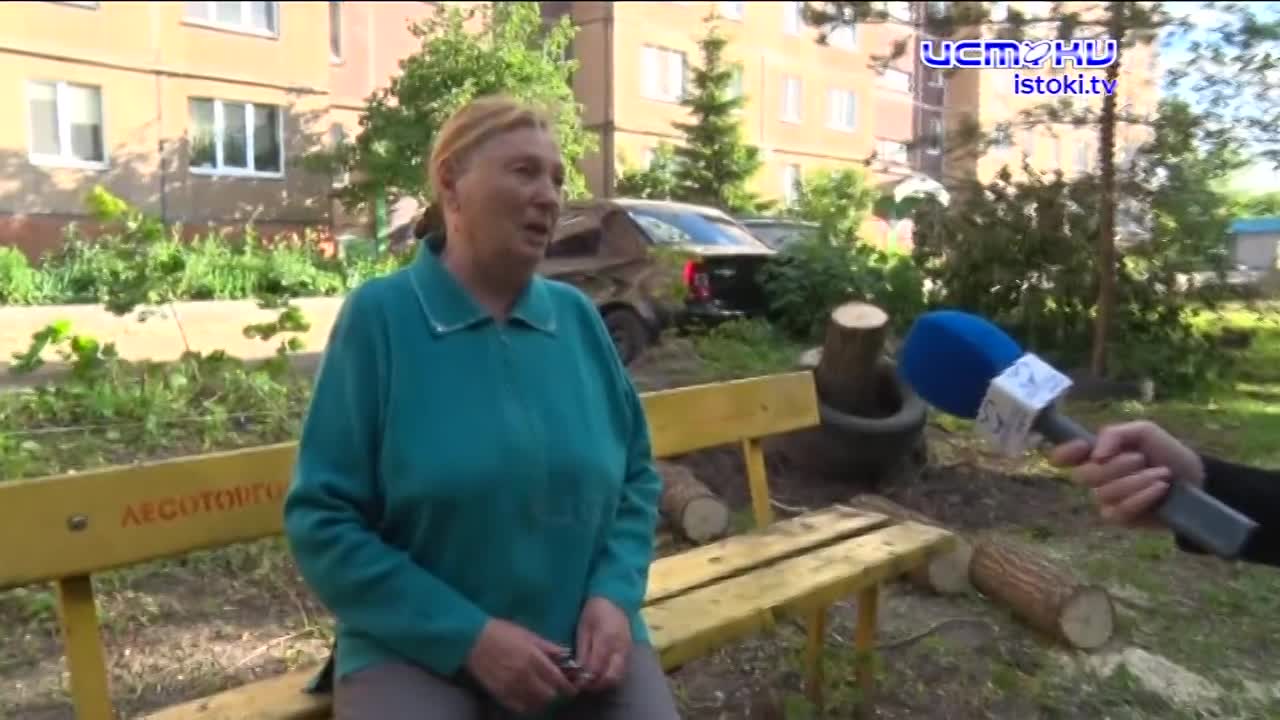 Деревья или парковка: камень преткновения одного двора1720516831