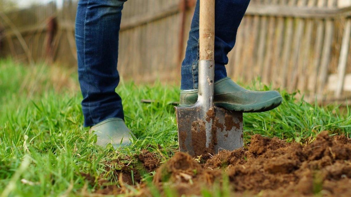 Орловчанам расскажут, как подготовить почву к дачному сезону