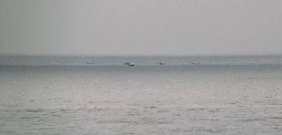 Известны имена погибших орловчан в авиакатастрофе ТУ - 154 