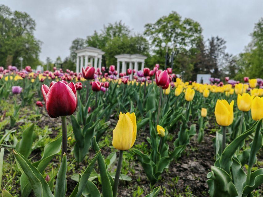 Губернатор Орловской области сделал заявление в связи с аномальной жарой