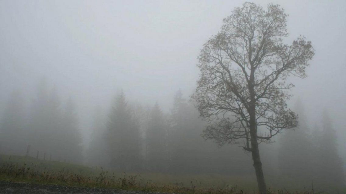 Под влиянием циклона: в среду орловчан ждут хмурое небо и туман