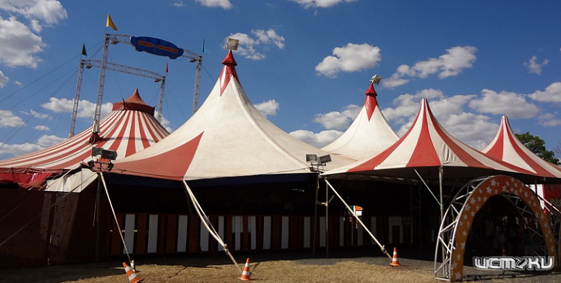 Дрессировщица, на которую напал медведь в цирке в Орле, не пострадала