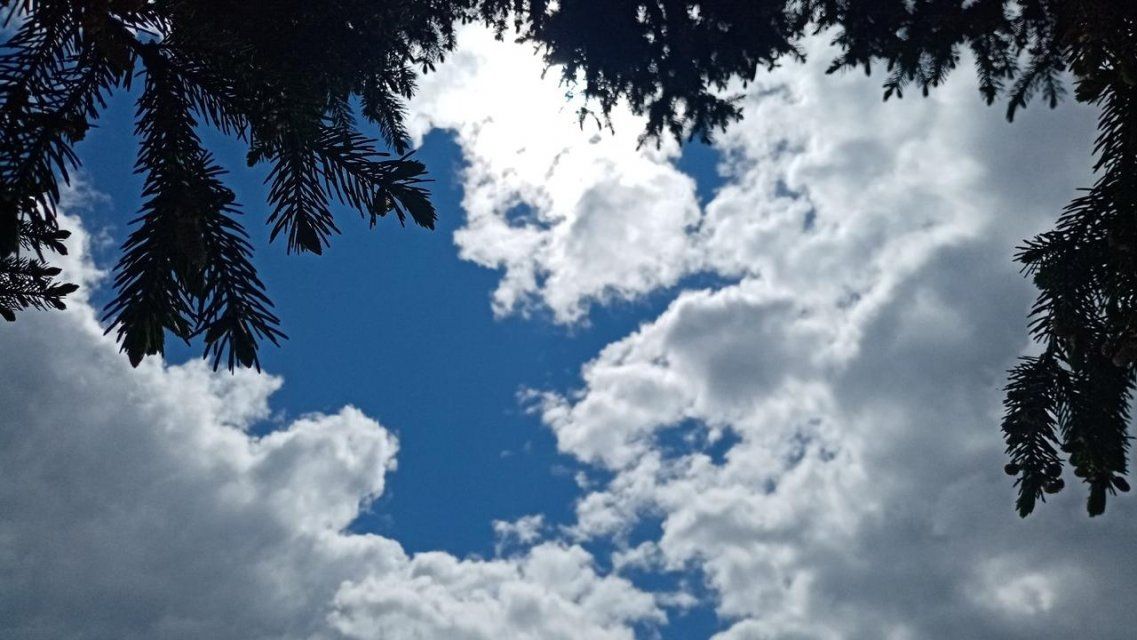 Дождь и всего +11 °C: погода в Орле в последний рабочий день этой недели