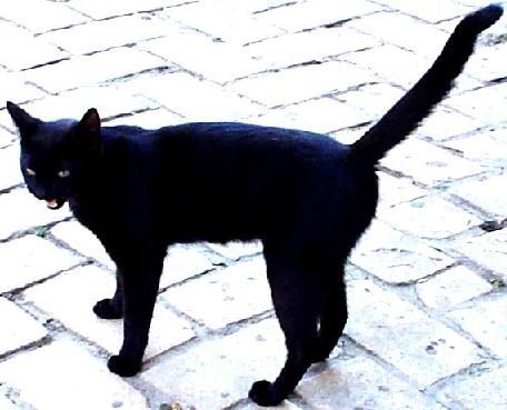 Значение примет и суеверий