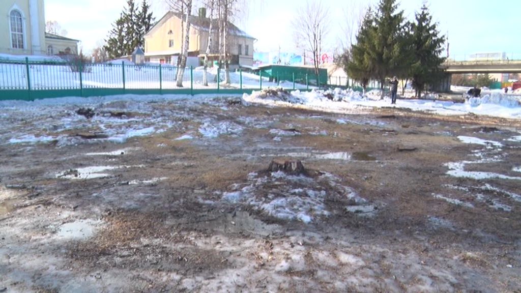  В Орле на месте срубленных возле храма деревьев посадят новые
