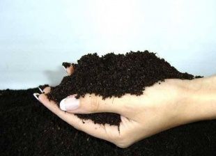 В Новосильском районе главу КФХ привлекли к административной ответственности