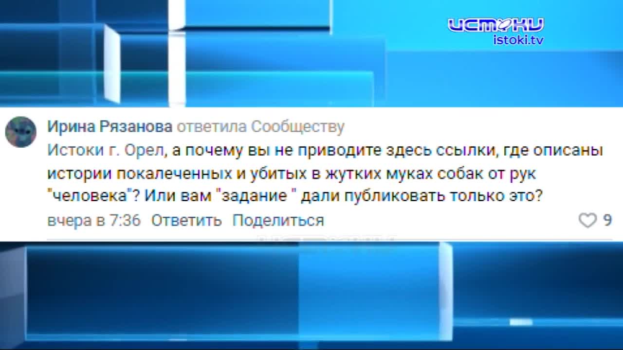 В Орле прошло заседание, где зоозащитники и чиновники обсудили введение поправок об усыплении бездомных собак