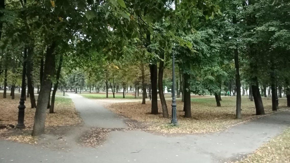 Осень вступает в свои права: какая погода ждет сегодня орловчан