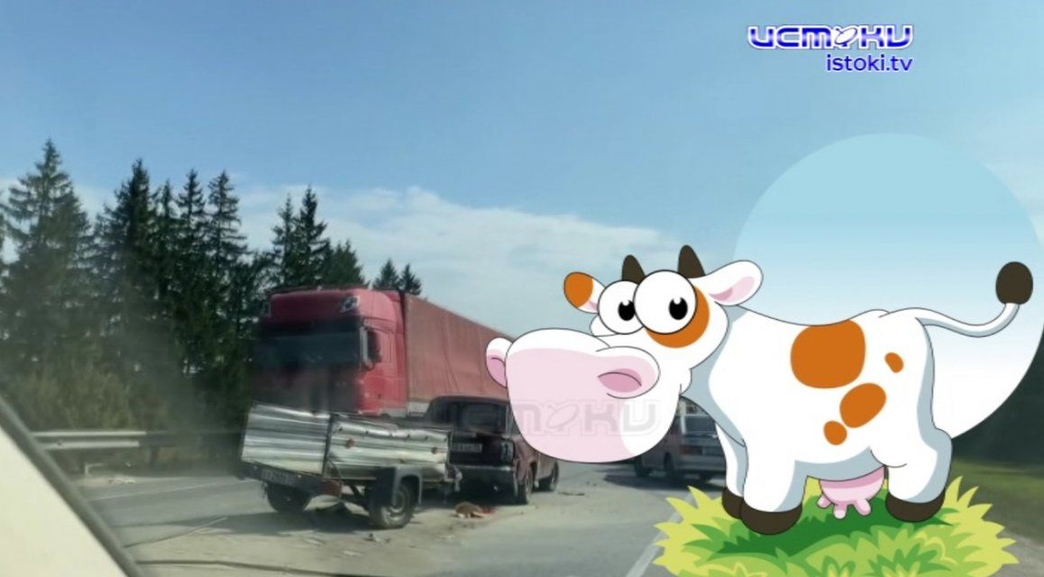 Экспресс-новости: троллейбус врезался в столб, строительство кампуса стартовало со скандала, а дом Лизы Калитиной снесли — все это и не только в нашей традиционной рубрике