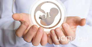 В Орловской области все больше рождается детей после процедуры ЭКО